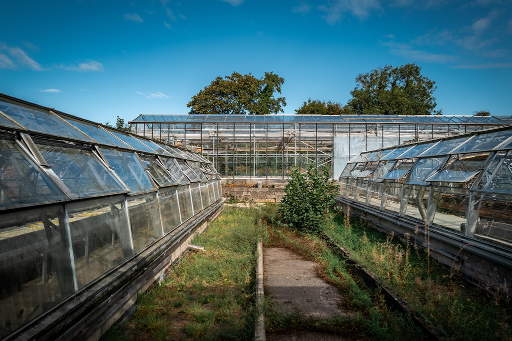 Beck Green Nurseries, Egremont - the site of the new Growing Well in west Cumbria