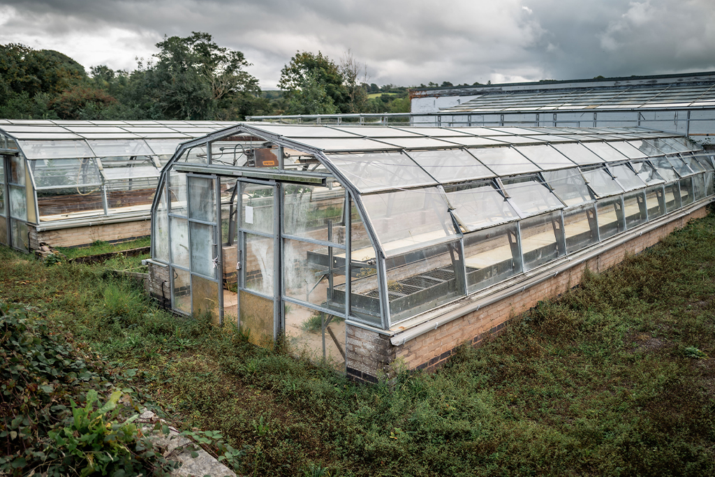 Beck Green Nurseries, Egremont - the site of the new Growing Well in west Cumbria